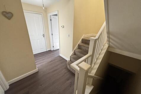 IMG 3046 T202510281211.jpeg