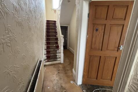 IMG 3115 T202510301150.jpeg