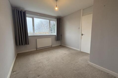 IMG 3157 T202511170936.jpeg