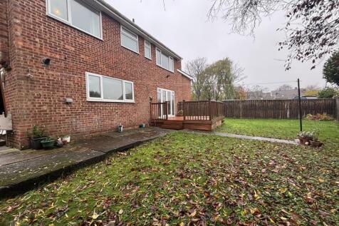 IMG 3168 T202511170936.jpeg