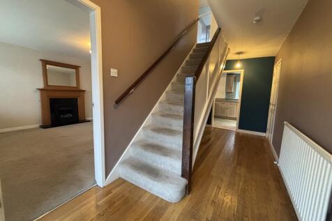 IMG 3161 T202511170936.jpeg