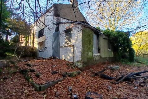 4b001c52-11a2-4e1e-b220-129b2445002b T202511171601.jpg