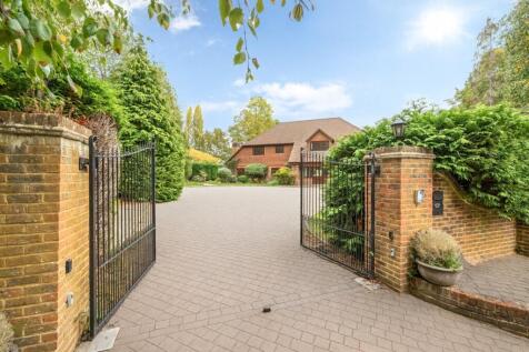 Property Image 16