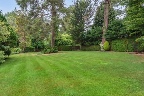 Redwood Drive