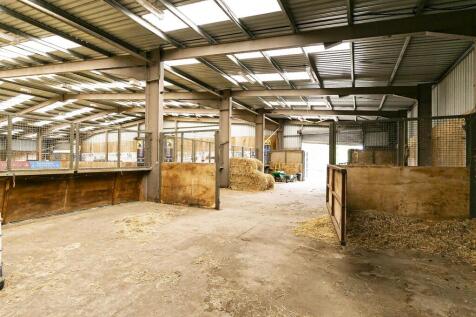 010 - Beverley Polo Club.jpg