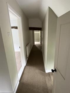 IMG_4384.JPEG