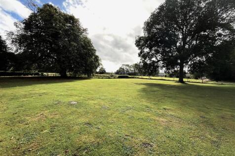 Back garden.JPG