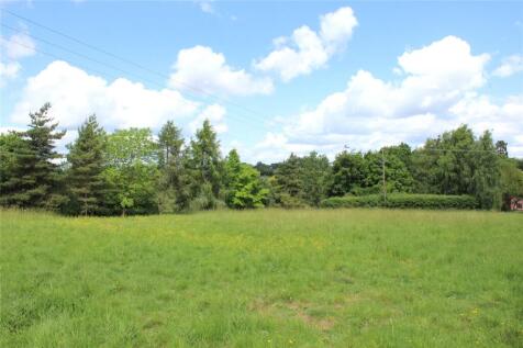 Meadow