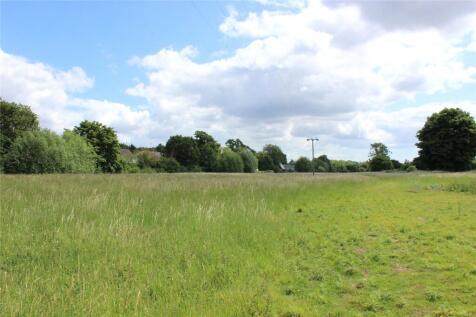 Meadow