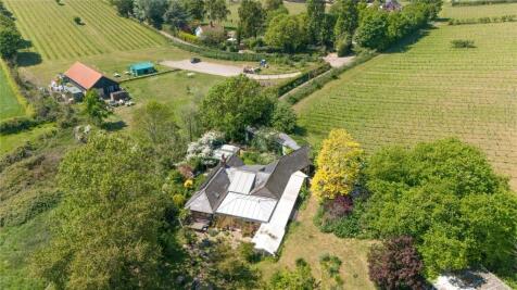 Bordering  Vinyard