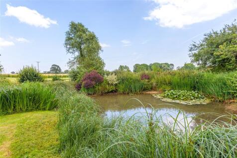 Pond