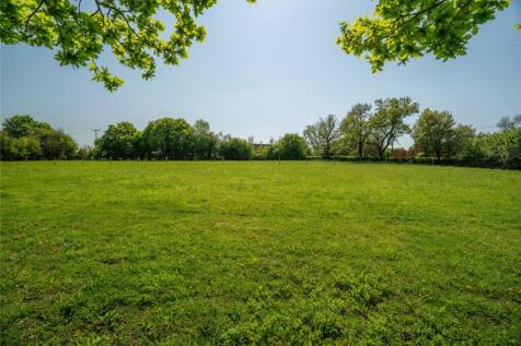 Meadow