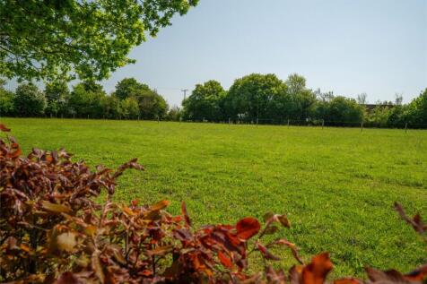 Meadow