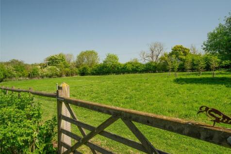 Meadow
