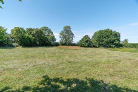 Meadow