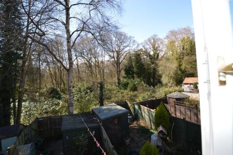 View to Woodland pro