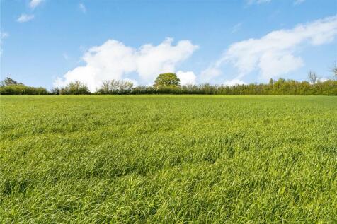 Meadow