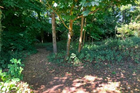 Woodland Walk