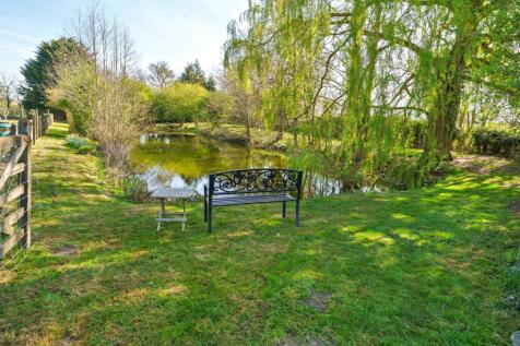 Pond