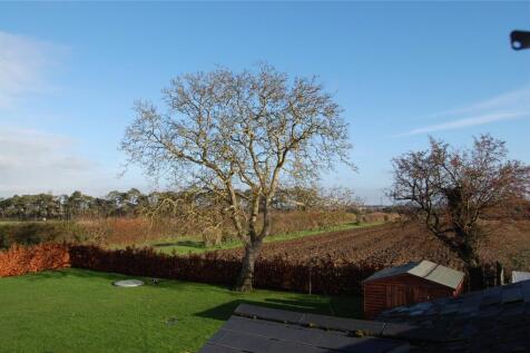 View and Garden