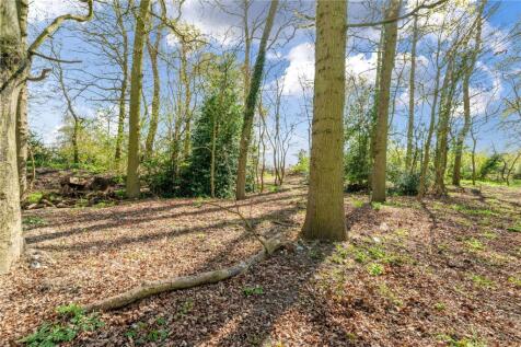 Woodland