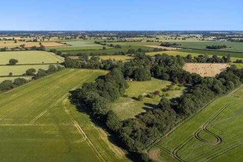 Drone View
