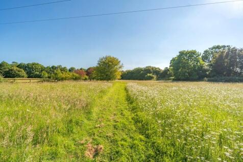 Meadow