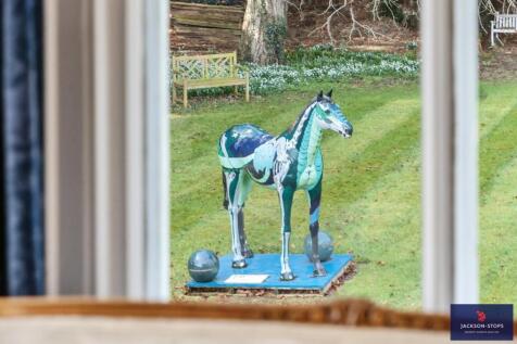 Horse Cameo