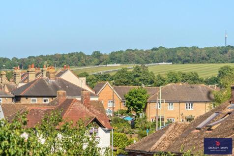Views Of The Gallops