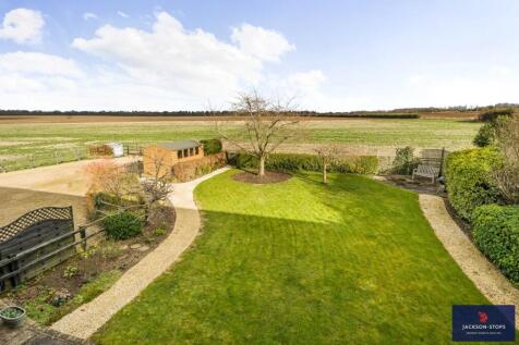 Garden and View