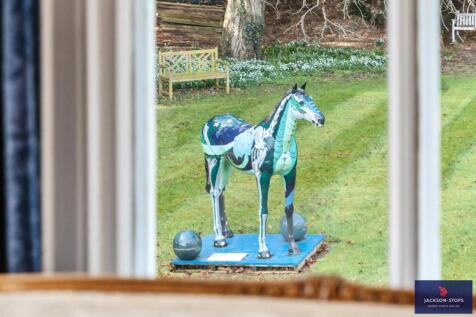 Horse Cameo