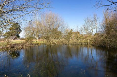 Pond