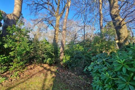 Copse