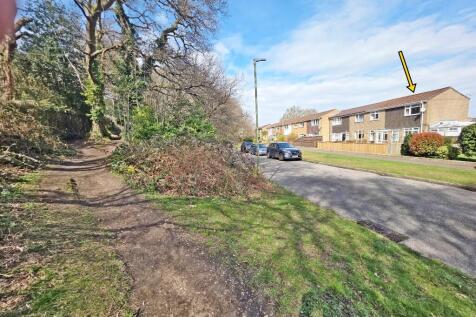 Opposite Woodland