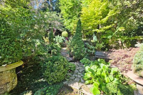 Exotic Shrubs