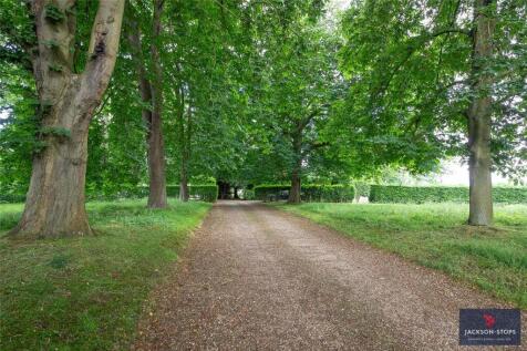 Avenue