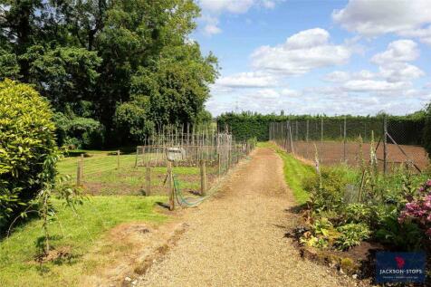 Kitchen Garden