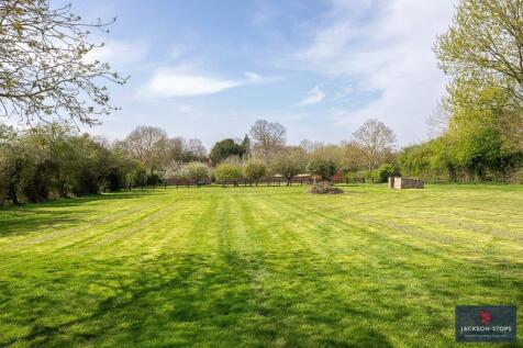 Top Paddock