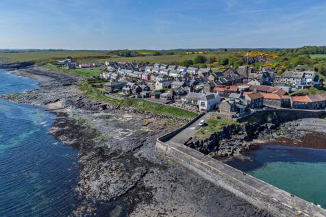 Craster