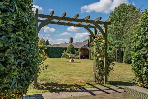Mature Garden