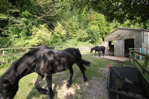 Stable Yard