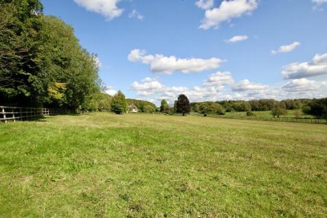 Field