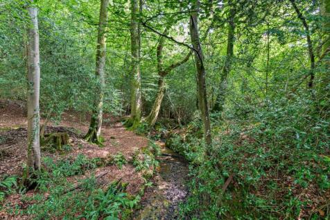 Woodland