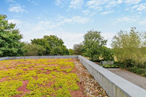 Roof and View