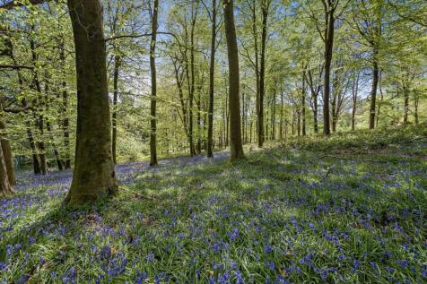 Possingworth Park