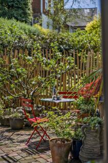 Courtyard Garden