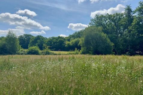 Wildflower Meadow