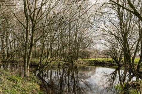 Pond