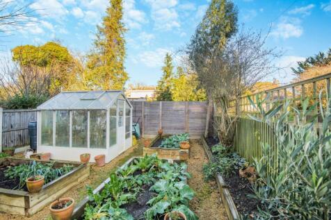 Vegetable Garden