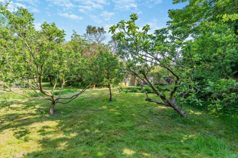 Orchard